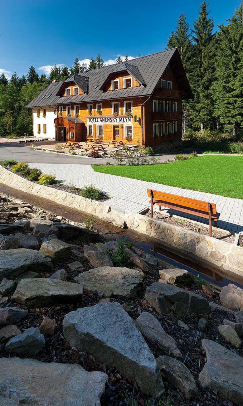 Hotel Anensky Mlyn Říčky Exterior foto