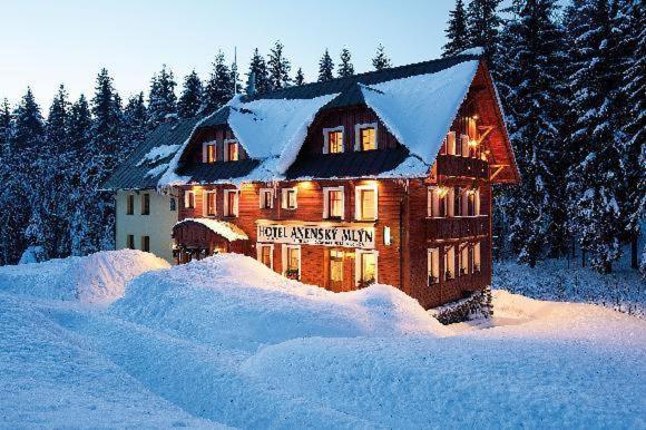 Hotel Anensky Mlyn Říčky Exterior foto