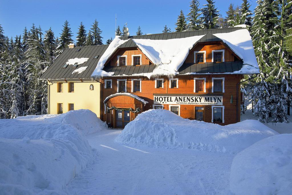 Hotel Anensky Mlyn Říčky Exterior foto